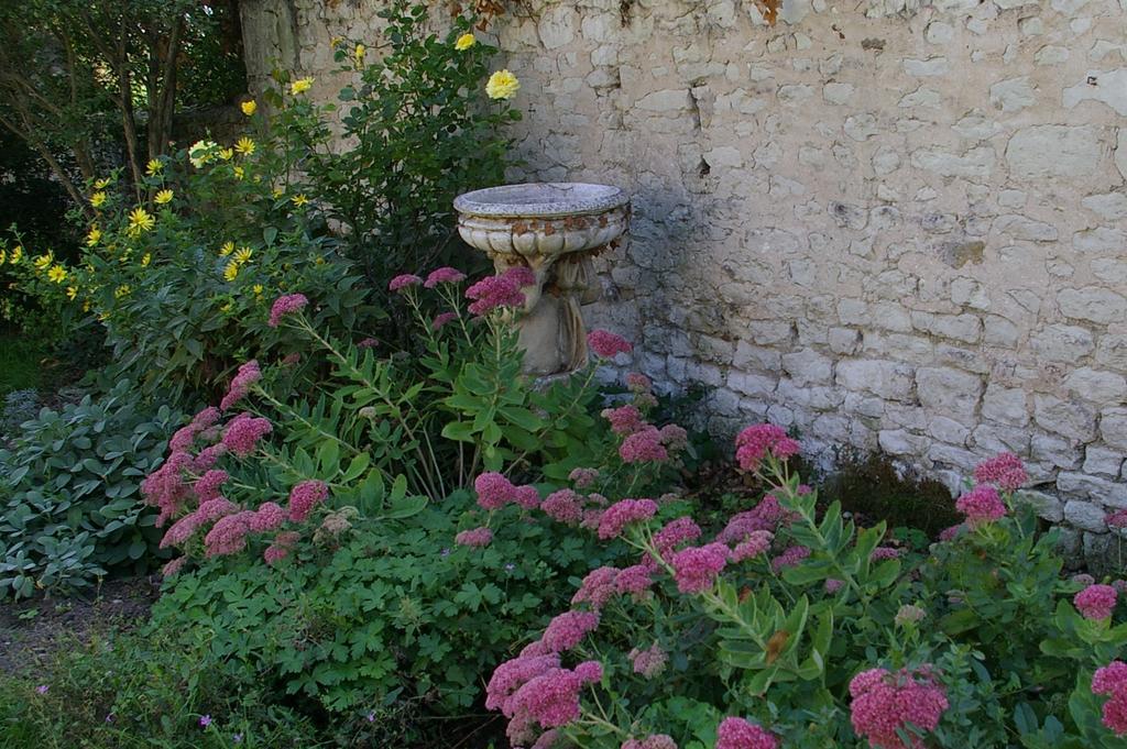 L'Olivier Villa Monts-sur-Guesnes Luaran gambar