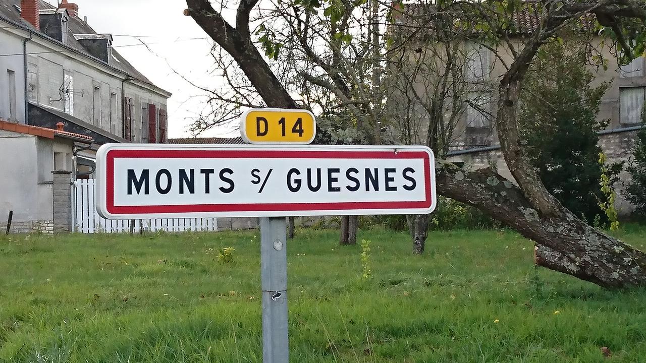 L'Olivier Villa Monts-sur-Guesnes Luaran gambar