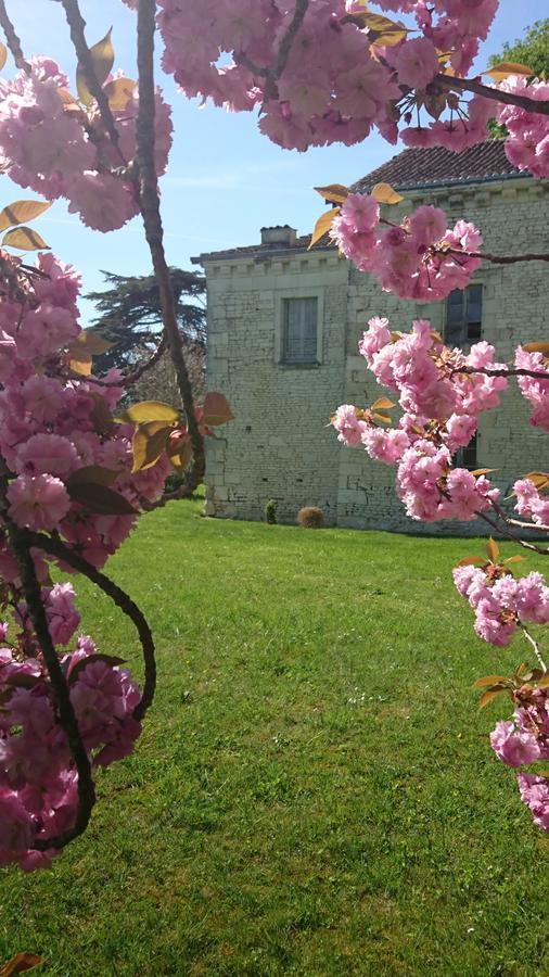 L'Olivier Villa Monts-sur-Guesnes Luaran gambar