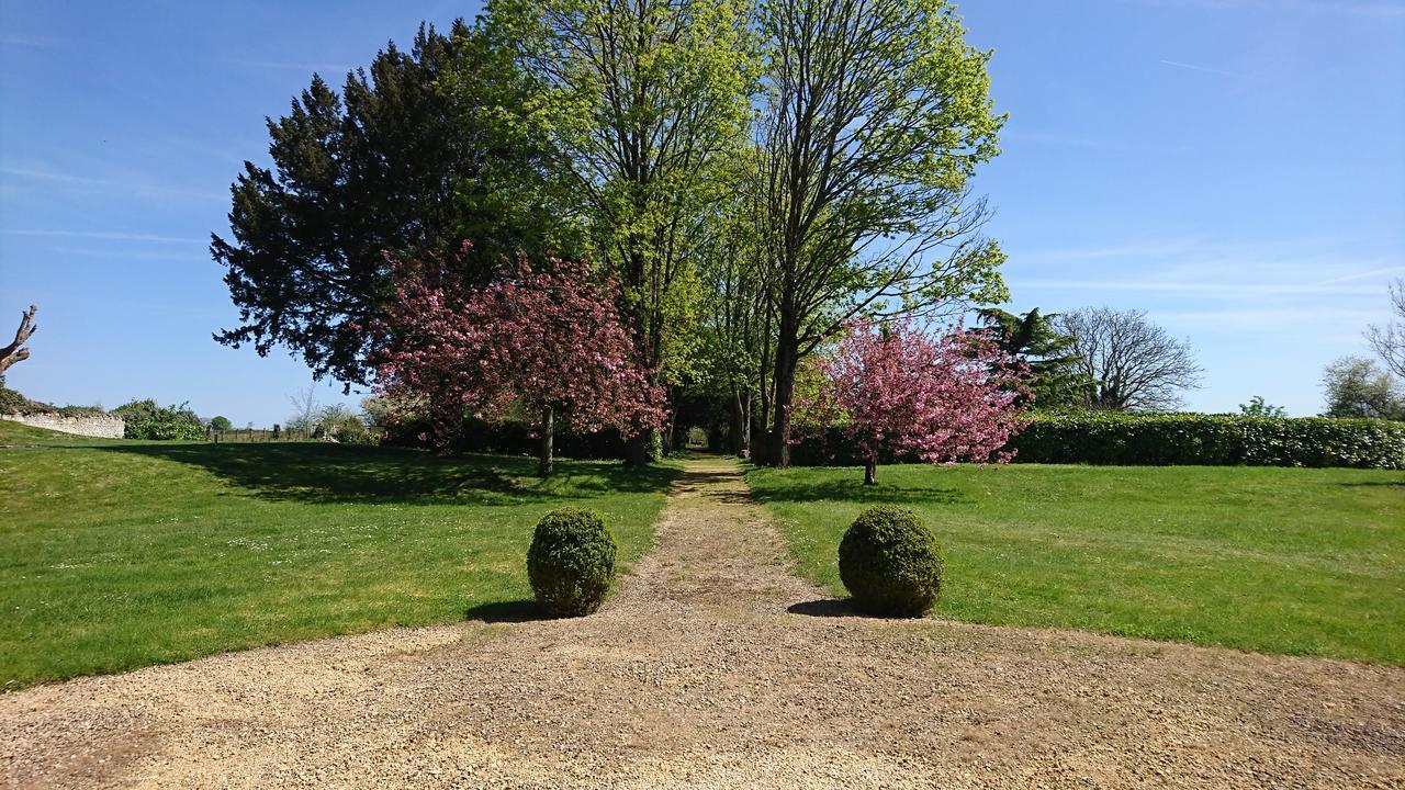 L'Olivier Villa Monts-sur-Guesnes Luaran gambar