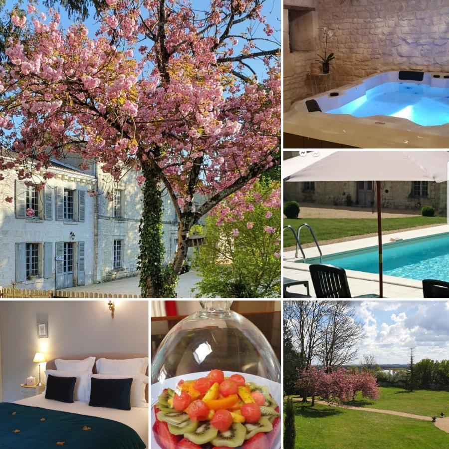 L'Olivier Villa Monts-sur-Guesnes Luaran gambar