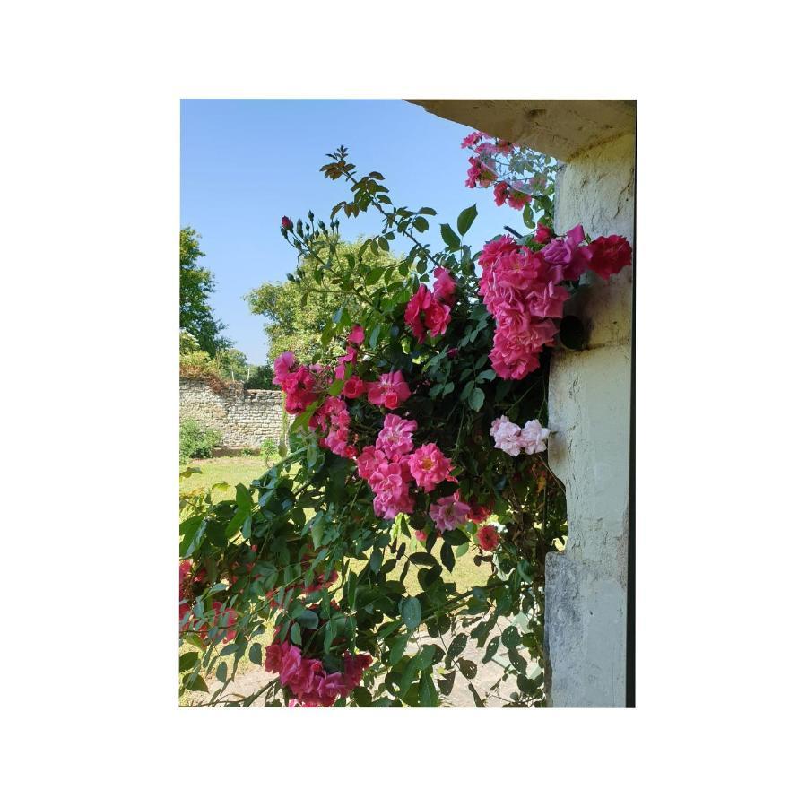 L'Olivier Villa Monts-sur-Guesnes Luaran gambar